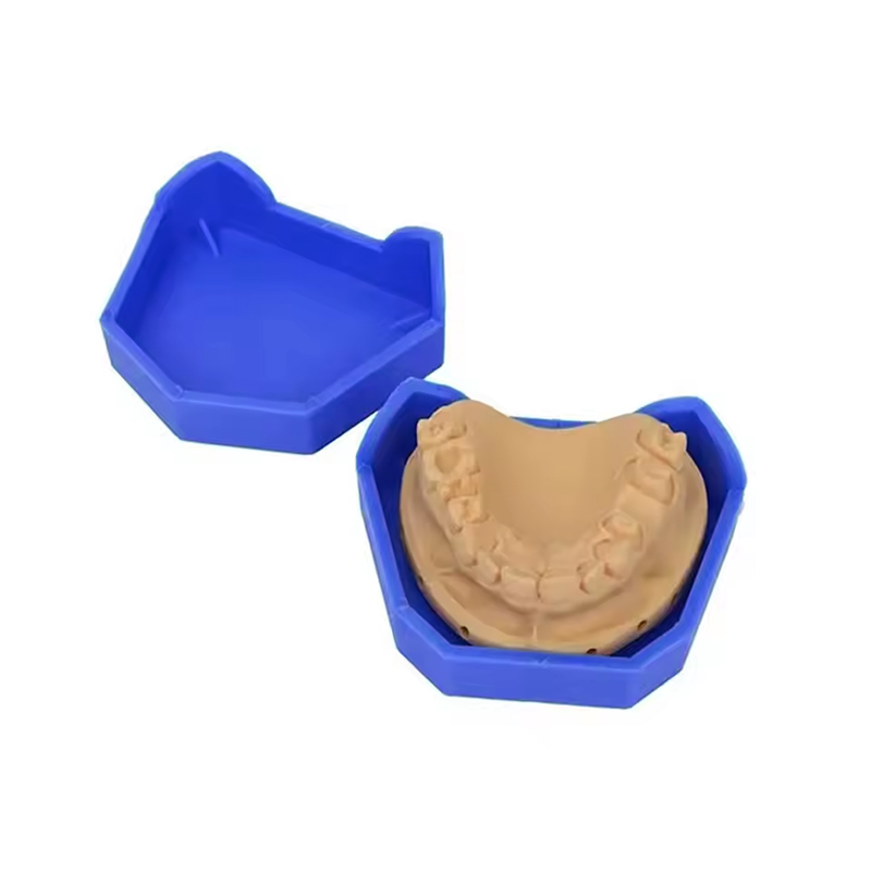 2/6 pz Modello Dentale Base Ge - Model Kit Tool Set recensione e prezzo