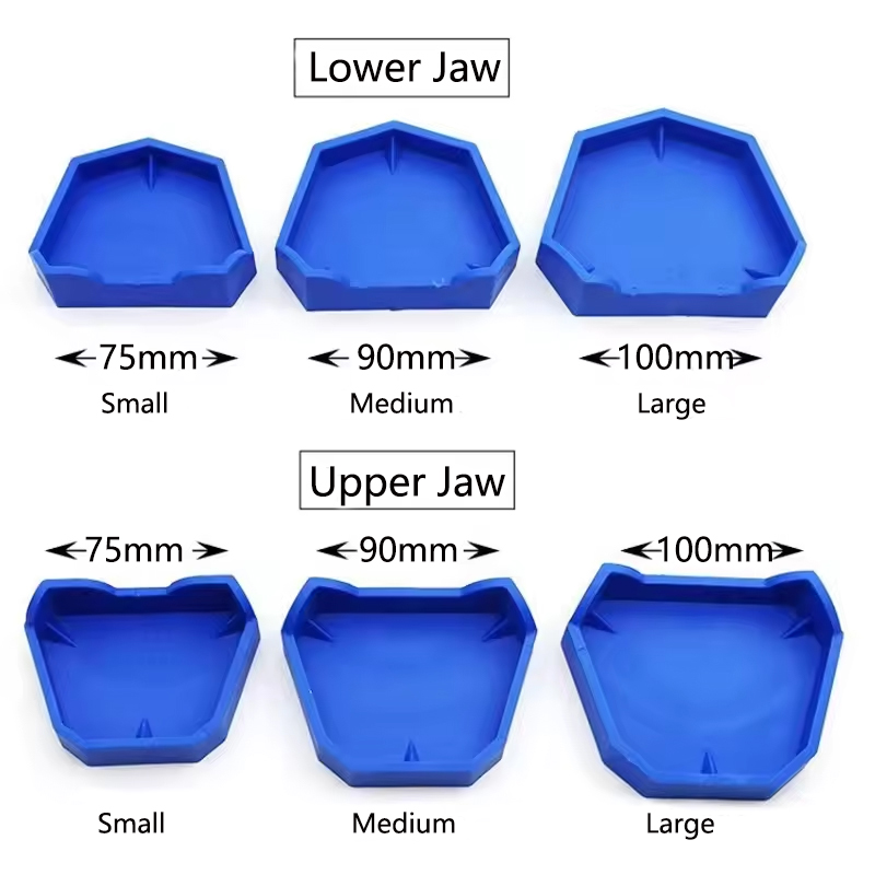 2/6 pz Modello Dentale Base Ge - Model Kit Tool Set recensione e prezzo